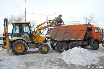 Одежда для добермана выкройки Одежда для добермана выкройки