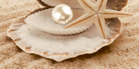 Коллекция Нефрит-Керамика Аликанте Аликанте Жемчужина на Море 07 00 5 10 00 11 121 декор 250*500 мм/9 мм разноцветный ма