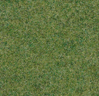 Ковролин коммерческий иглопробивной Forbo Forte Color 96008 зеленый Field