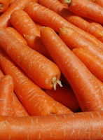Морковь Марс F1 (УД) 1,5 гр цв.п.
