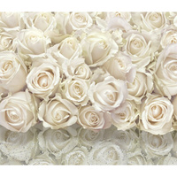 Фотообои Dekor Vinil Белые розы