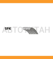 Ремень поликлиновый | Gates 5PK1123XS | S60 II (FS/FH), S80 II (AS,AR), V60